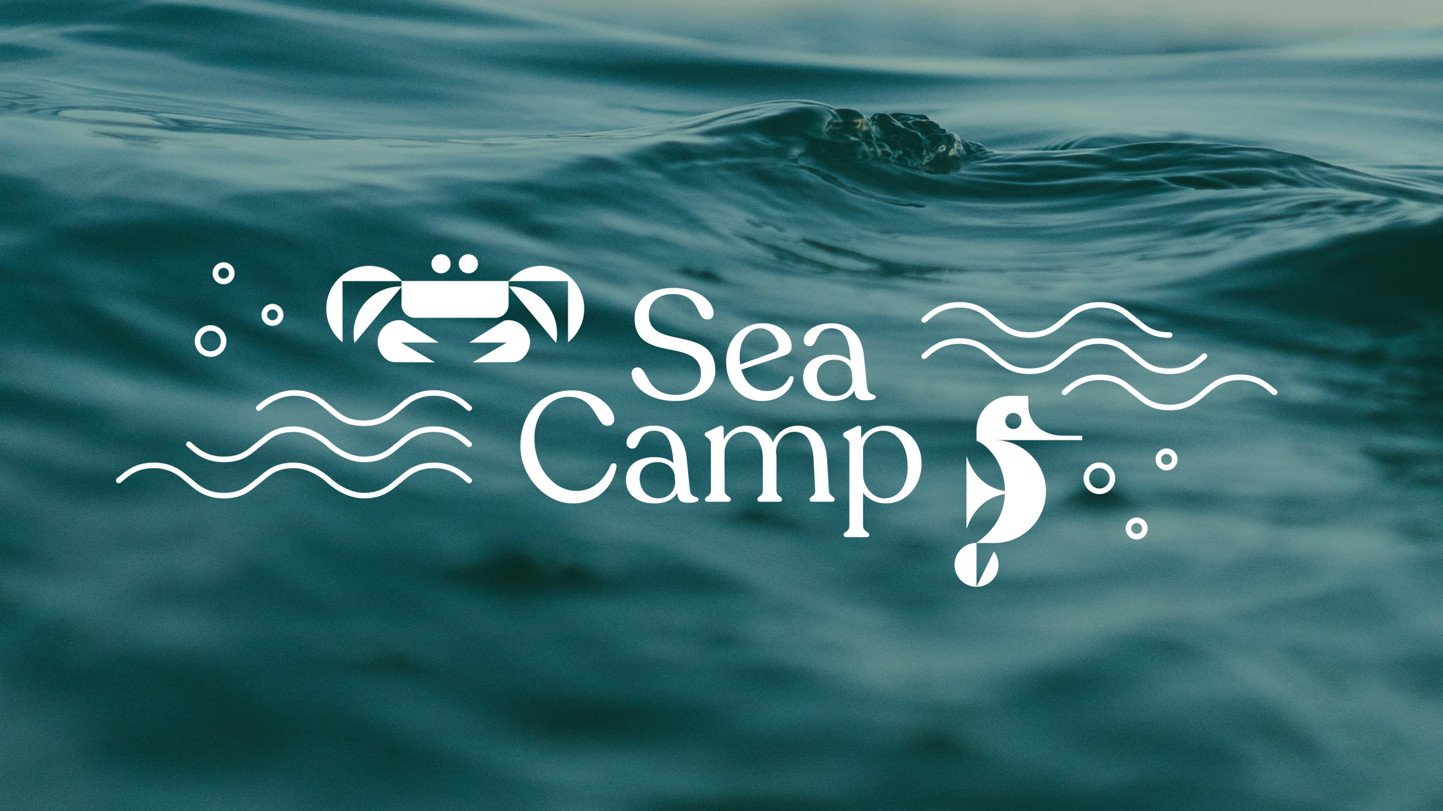 Sea Camp camp crab logo ocean podcast science sea seahorse summer waves