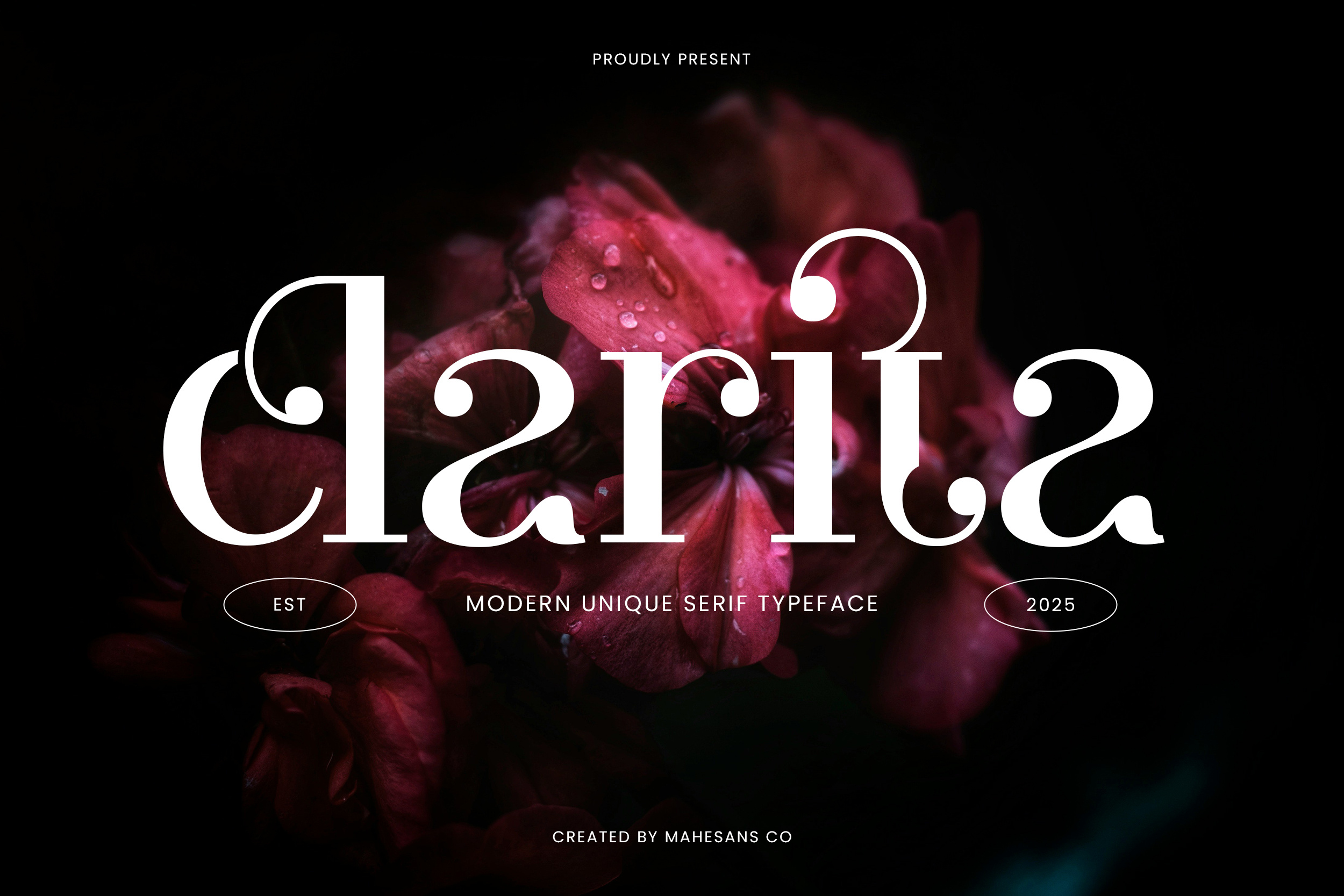 Example of Custom Serif Font Design