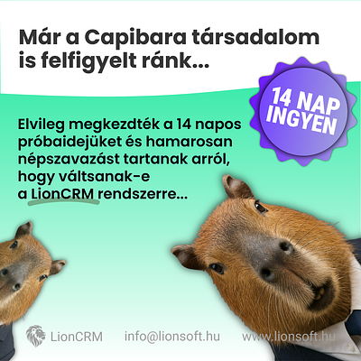 Our post design from facebook capibara facebook funny graphic design post social media