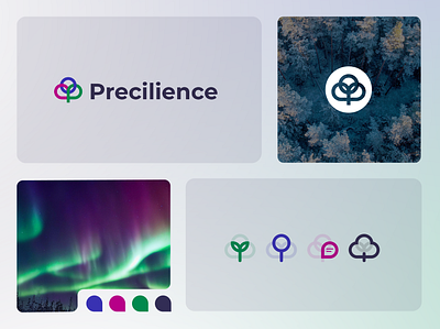 Branding: EU Horizon Project agriculture aurora aurora borealis boreal boreal forest branding design europe finland forest graphic design icon illustration logo northern lights sapling seedling tree vector