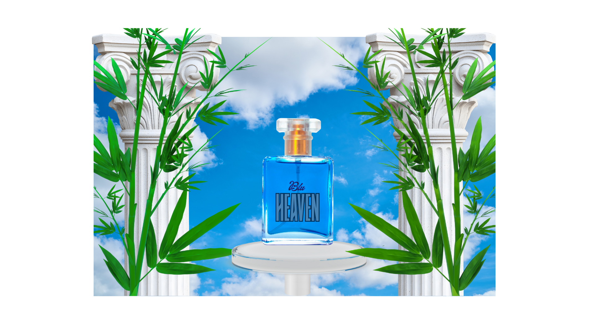 Example of Affordable Professional Design In 24hrs