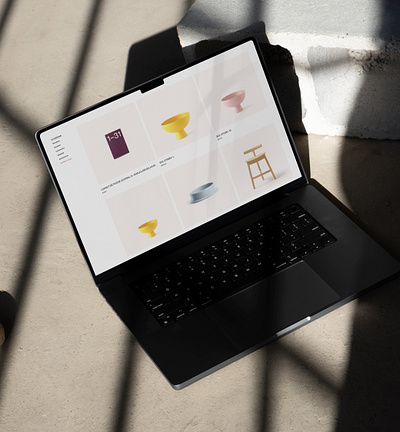 Momentum Design store _ Website store sample ui