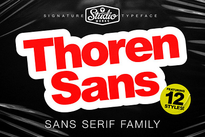 Thoren Sans Serif Font classic display gothic grotesque header headline italics light multilingual opentype posters powerful sans serif sans serif font thoren sans serif font typeface