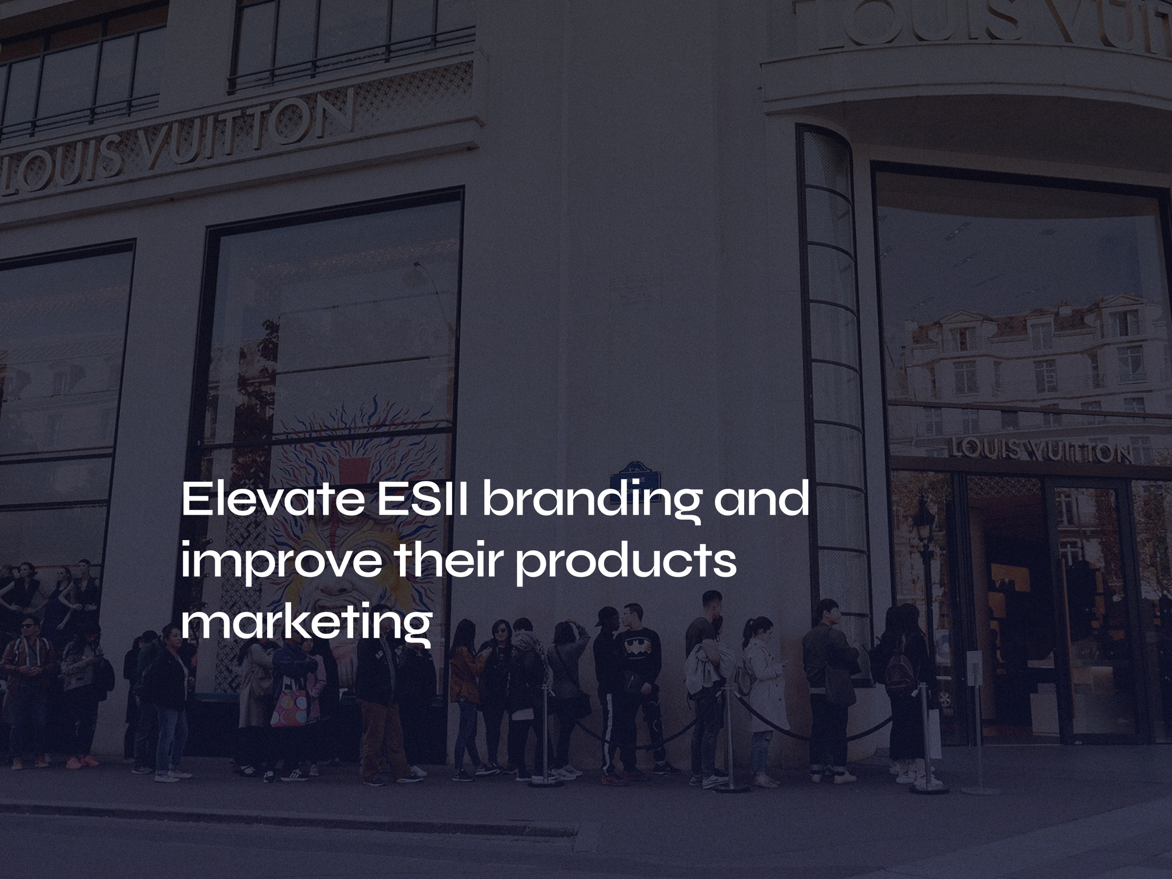 ESII branding & website, the customer journey management company