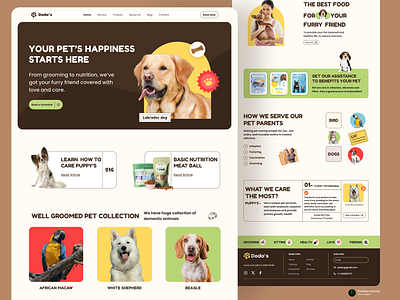 Pet Care Web Design - Homepage artistic rishi branding design dog care website full page design graphic design grooming hero banner design home page desig illustration landing page design new website design pet care pet web pet website product website rishikesh malviya ui ui design website design