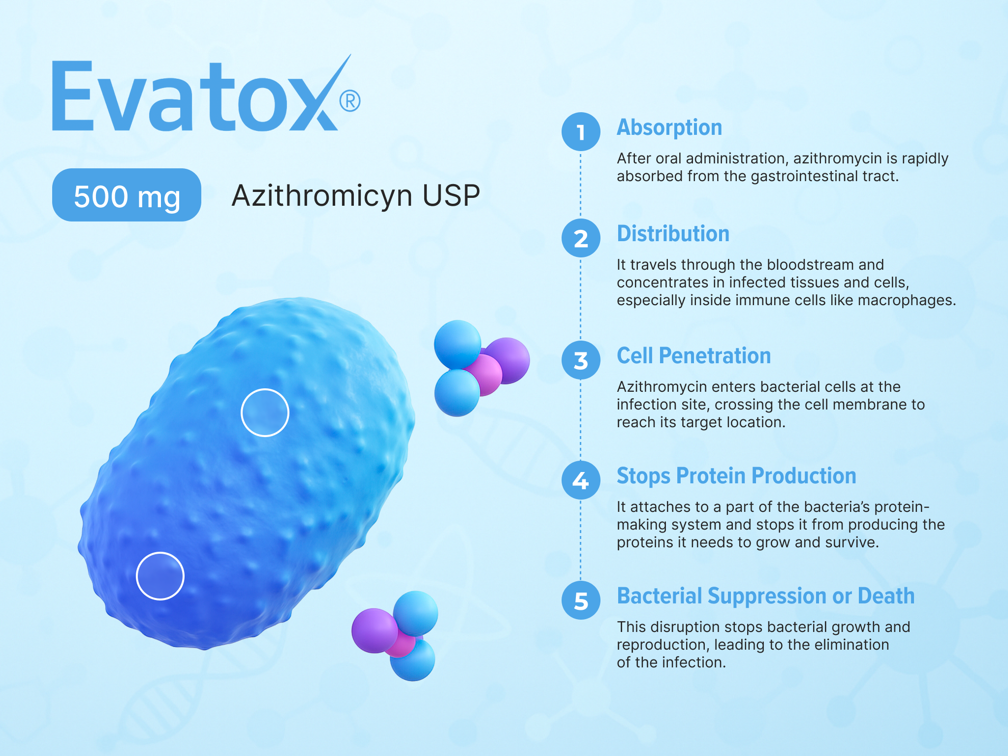 Example of Evatox Medical Presentation Slide