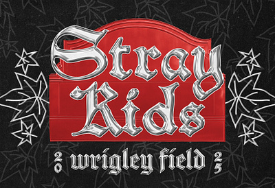 Stray Kids at Wrigley Field Concert Creative chicago chicago cubs concert hand drawn kpop stray kids typography wrigley field