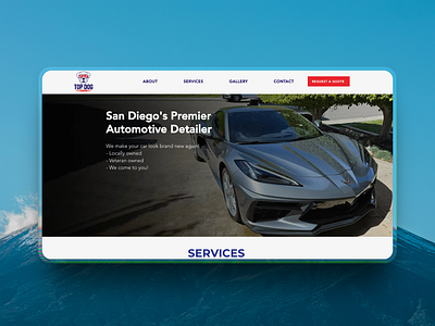 Top Dog Detail – Automotive Detailing & Cleaning icon design