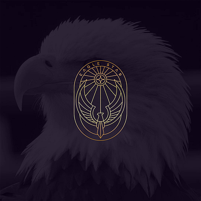 Eagle Star – Abstract Line Art Within an Oval Frame brand identity branding design design logo eagle flat graphic design illustration line line art line art logo logo logo design logos logotype modern simple timeless unique