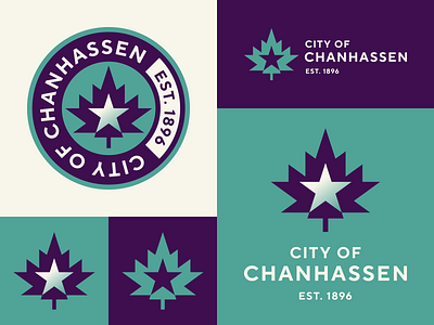 CoC Proposed Brand Design branding design graphic design icon identity logo mark typography