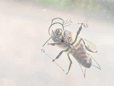Fancy bee bee fancy graphic design illustration