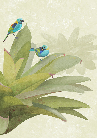 Book "Plantas Tropicais" branding design graphic design illustration