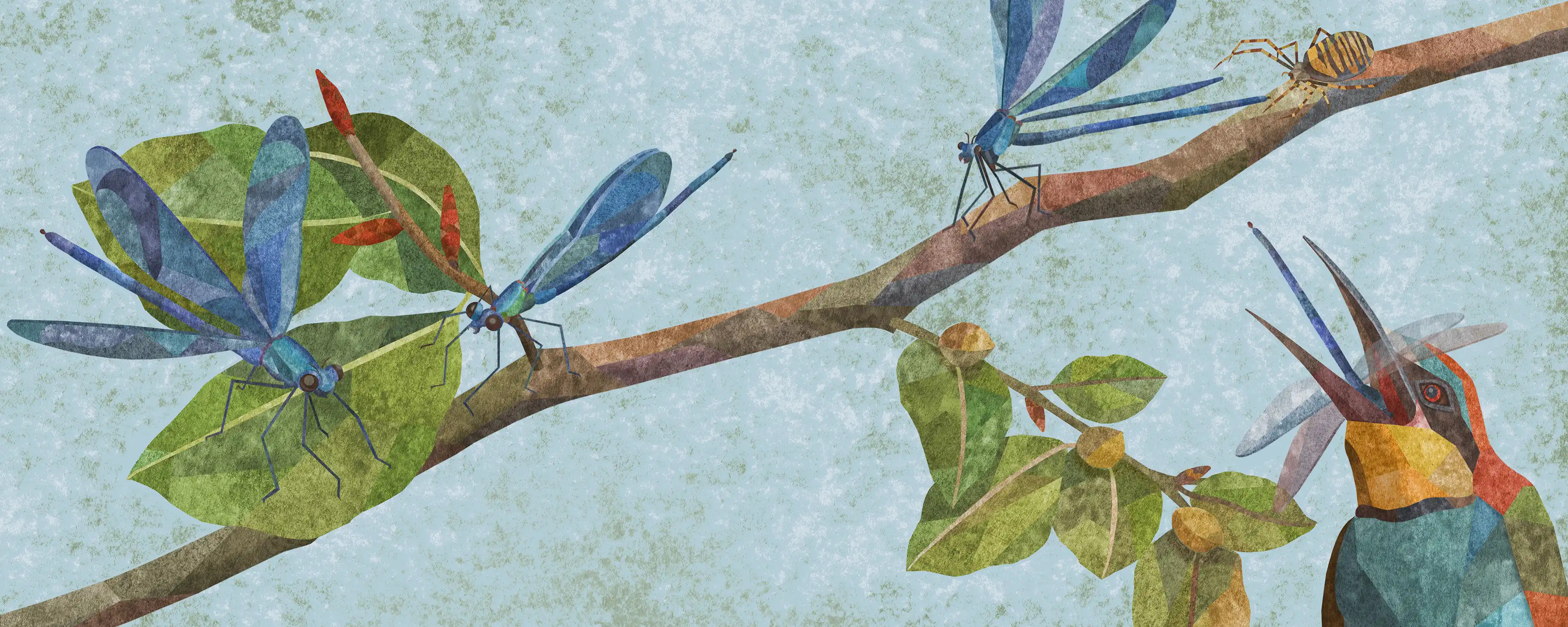 Book "Tortuga erforscht die Evolution" design graphic design illustration