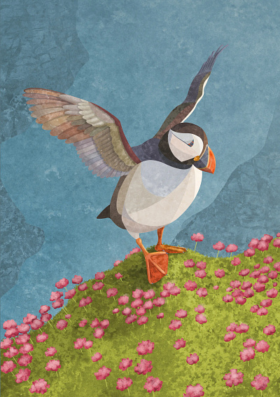 Puffin . Personal work design illustration