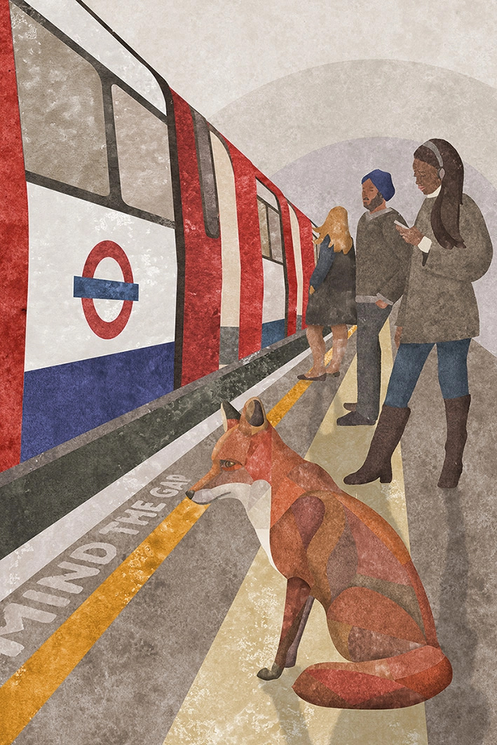 Urban Fox . London Transport Museum design illustration