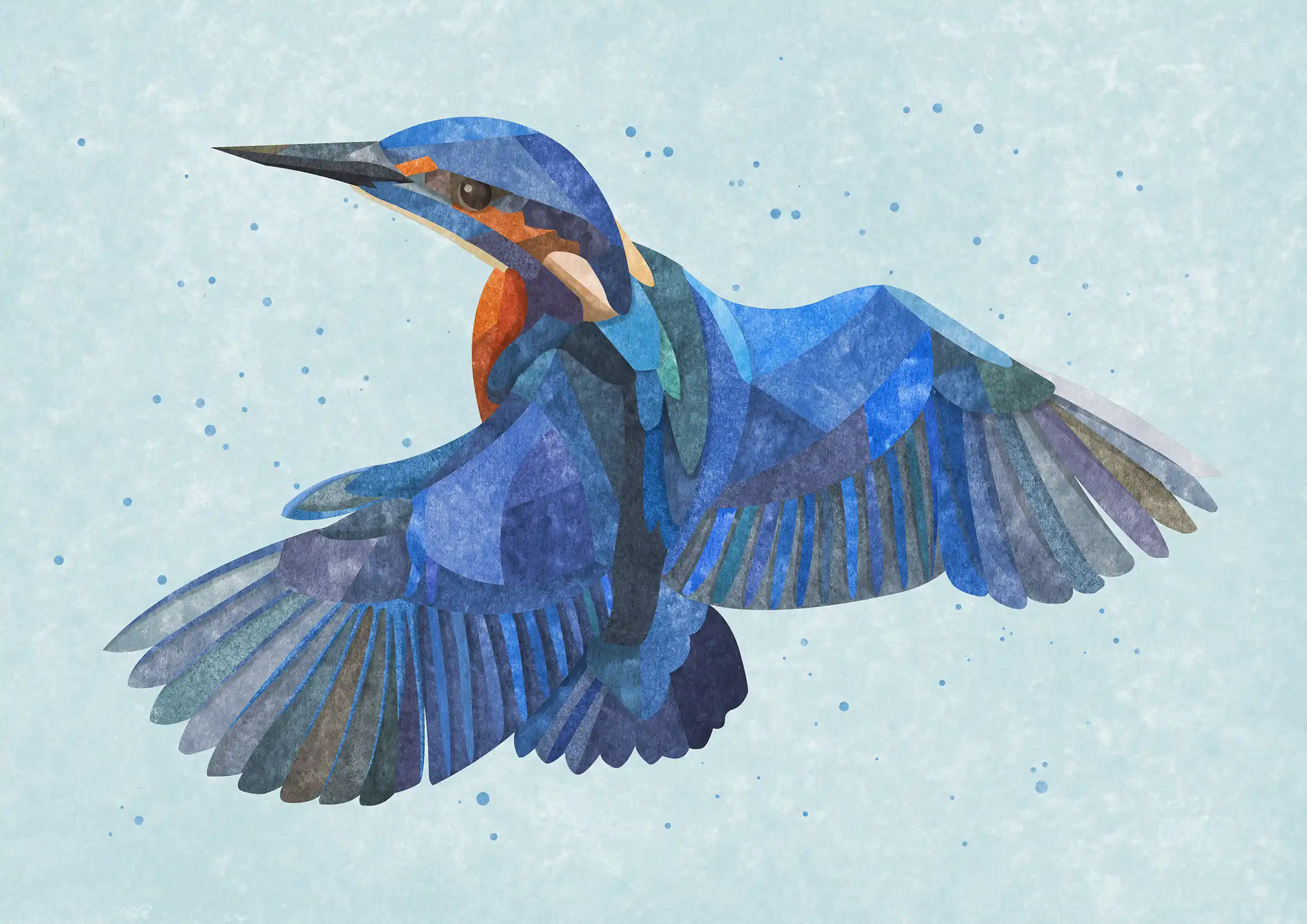 Kingfisher design illustration