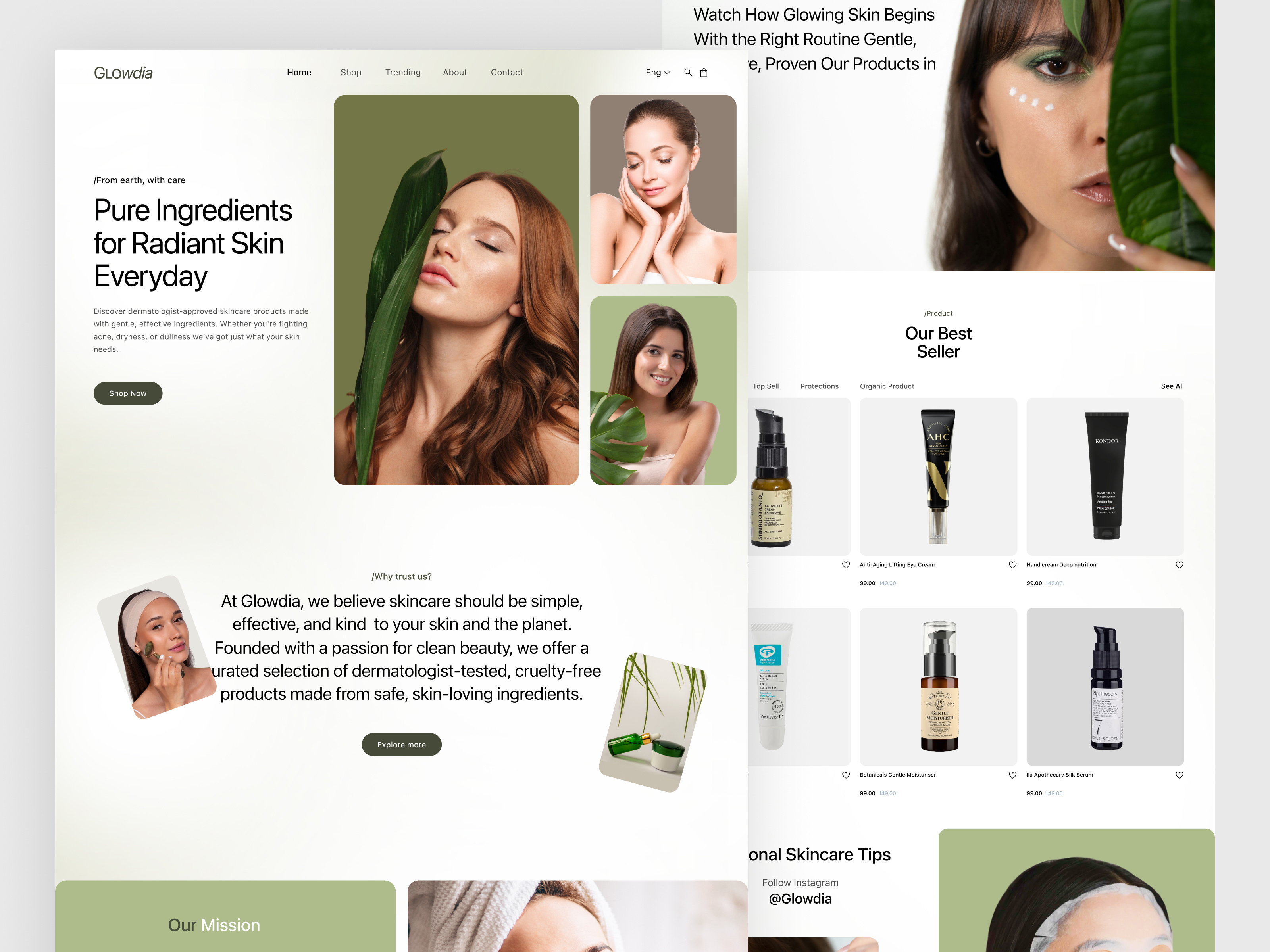 Example of Ecommerce Website Design (10 Pages +)