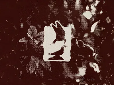 Gatherance bird branding design graphic design illustration illustrator logo minimal parrot ui ux vector