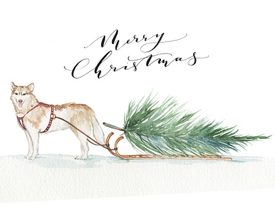 Husky Watercolour Christmas Card animal branding christmas christmas card christmas tree design dog husky illustration sledge watercolor watercolour