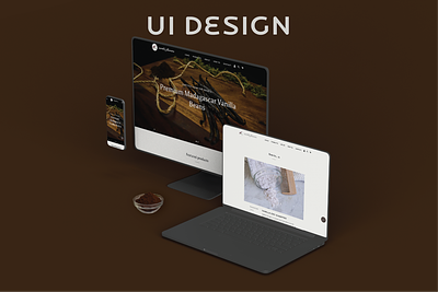 Vanilla Bean business website building branding graphic design logo photography typography ui ux web design website website building