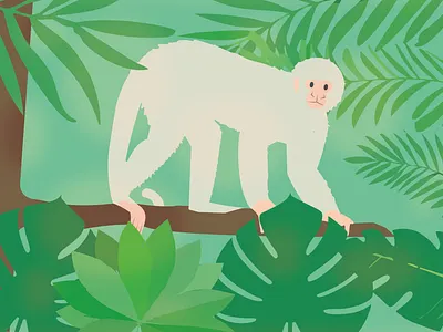 Mono animal animals design illustration ilustrator jungla jungle mokey mono vector vegetation