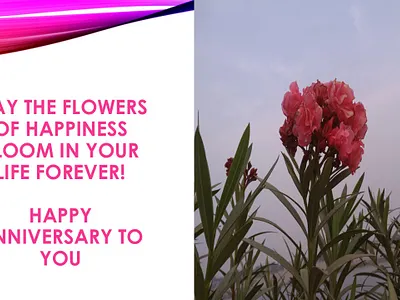 Happy Wedding Anniversary Wishes for Friends 10thweddinganniversarywishes 50thweddinganniversarywishes 5yearweddinganniversarywishes 60thweddinganniversarywishes beautifulcoupleanniversarywishes happyweddinganniversarywishes weddinganniversarywishes