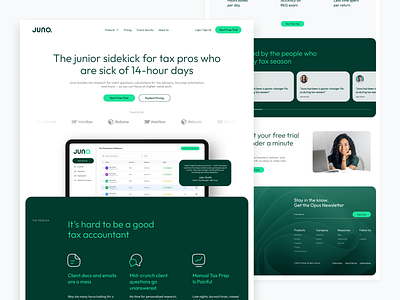 Juno - Website Design design hero landing page ui ux web design website