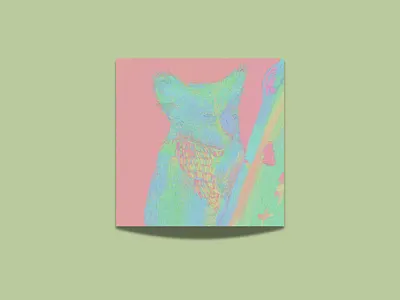 Koala - illustration design illustration minimal