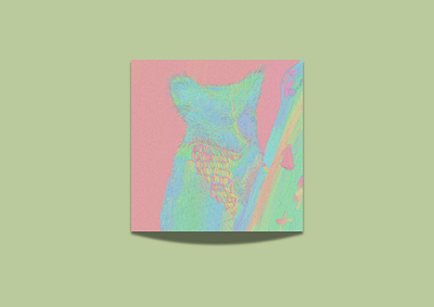 Koala - illustration design illustration minimal