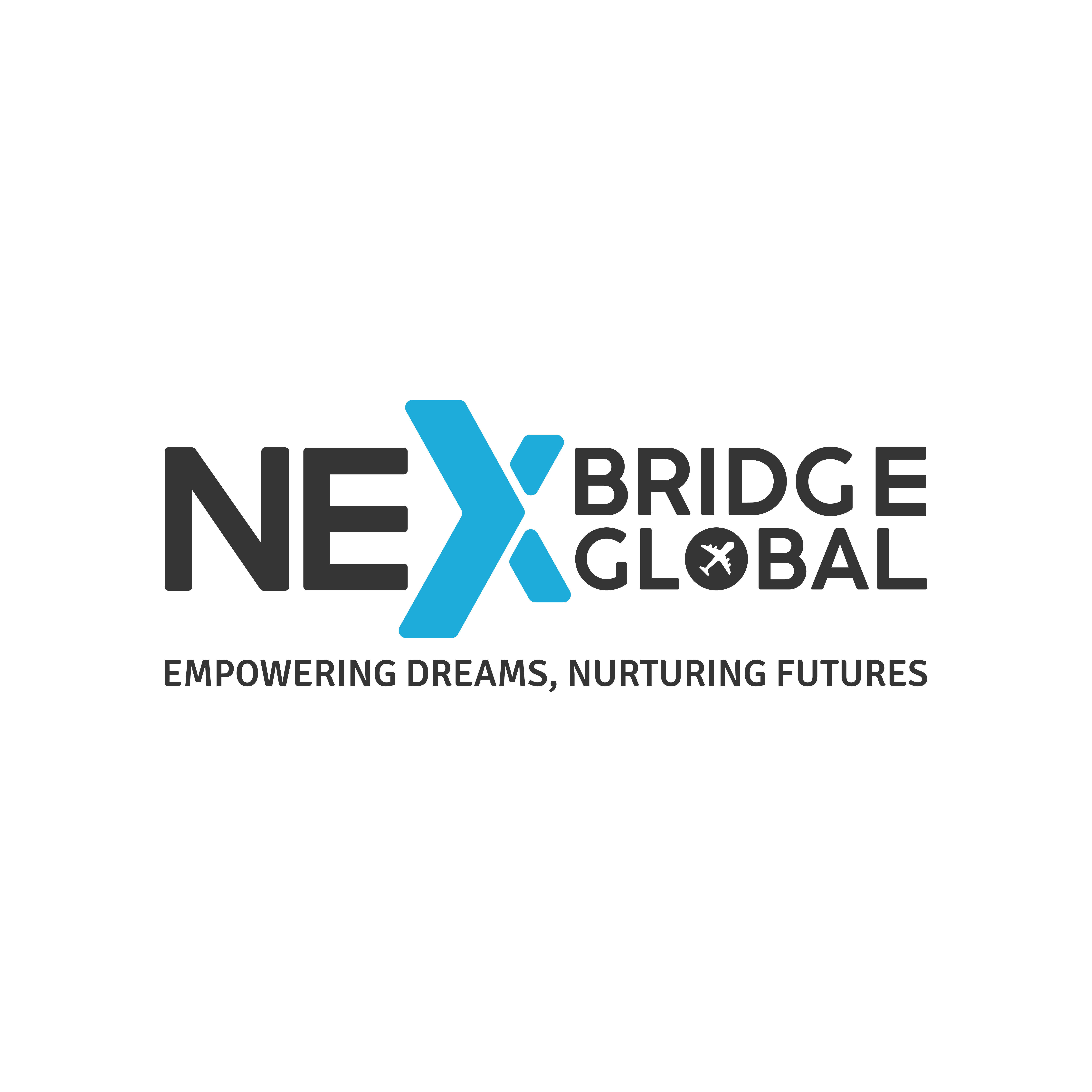 NEX BRIDGE GLOBAL logo show case with logo guidelines branding graphic design logo