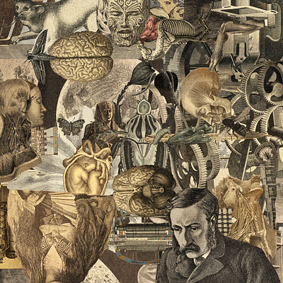 collage collage
