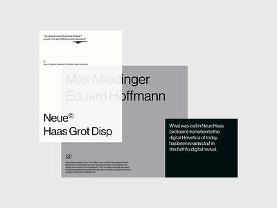 Typographic design concept bold branding depth design editorial layout materials minimal paper simple stock typography