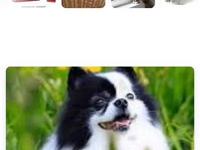 WordPress Landing Page landing page landing page template leads template template ui uiux ux web design web development website wordpress