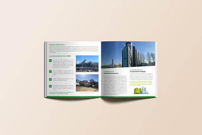 Square Brochure design graphic design