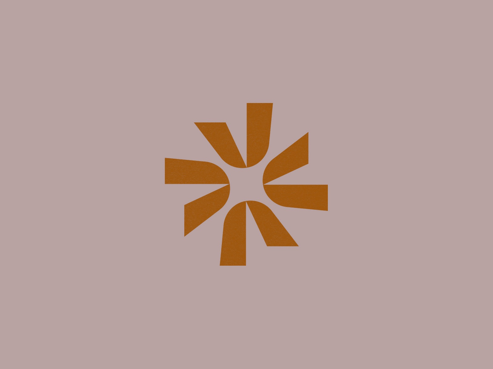 V + spark brand design brand identity branding brandmark custom logo custom logo design flower logo graphic design identity identity designer logo logo design logo designer logo mark spark spark logo typography v v logo v mark