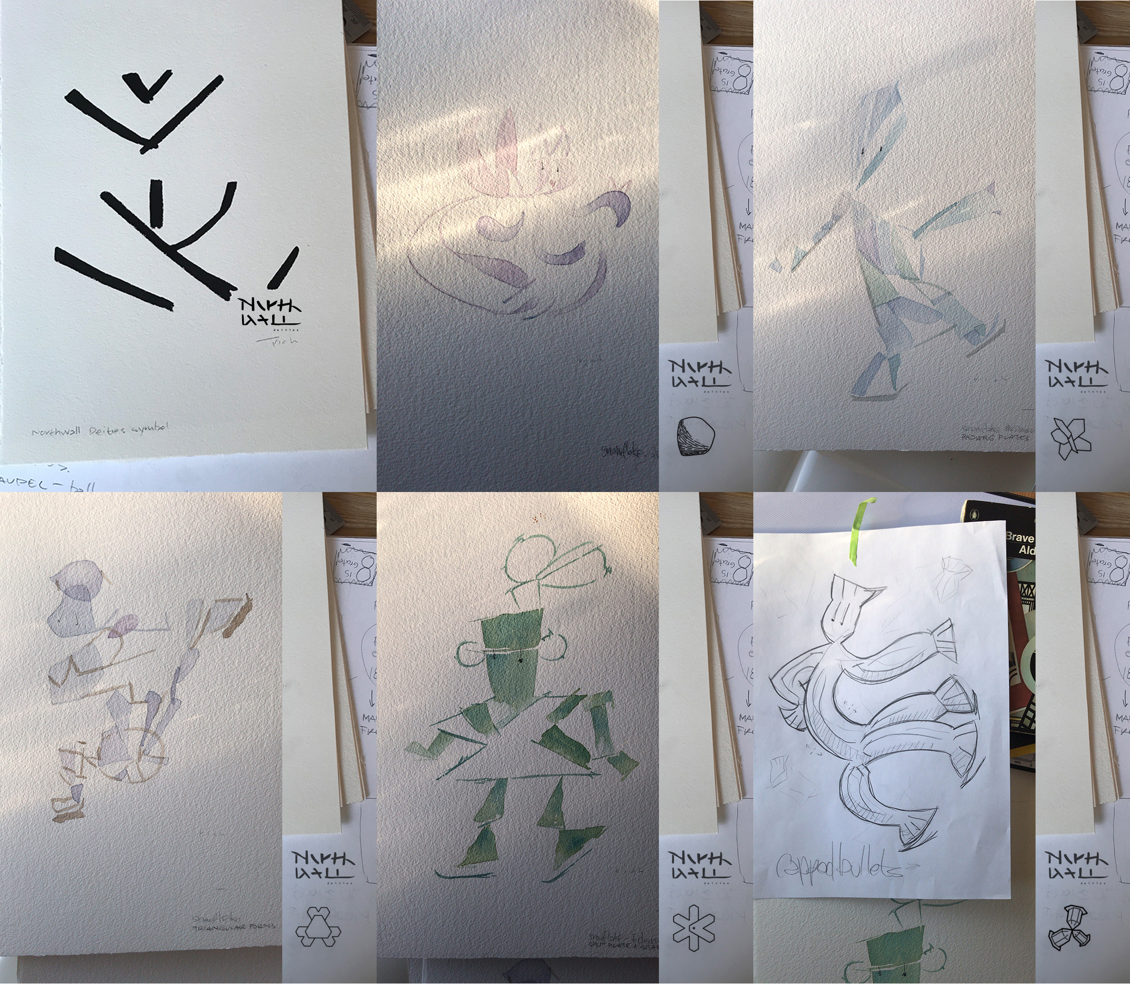 North Wall - Wild Ice brand branding canadian rockies creative direction design figure skating identity illustration rawlyk rawlyk calgary rawlyk design rawlyk innovation rawlyk north wall rawlyk story teller rawlyks canada rich rawlyk snowflakes sports art thewayfindercompany wild ice