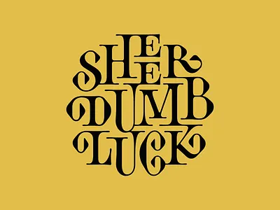 Sheer Dumb Luck hand lettering illustration lettering lettering art type type design typogaphy vector vector lettering