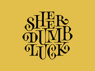 Sheer Dumb Luck hand lettering illustration lettering lettering art type type design typogaphy vector vector lettering