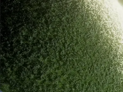 blue moon 3d animation ball bts c4d cinema4d design graphic design illustration lighting motion graphics process shading tennis