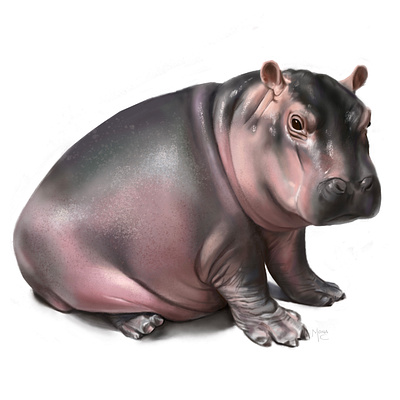 Hippo