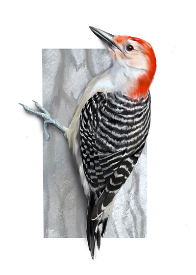 Woodpecker