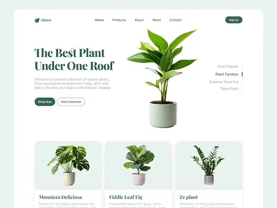 Plants — Web Header Exploration dailyui dribbble ecofriendlydesign headerdesign landingpage minimaldesign minimalui modernui naturedesign onlinestoredesign plants plantshop plantstore ui design uiux uxdesign uxinspiration webdesign webheader websitedesign