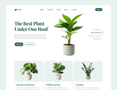 Plants — Web Header Exploration dailyui dribbble ecofriendlydesign headerdesign landingpage minimaldesign minimalui modernui naturedesign onlinestoredesign plants plantshop plantstore ui design uiux uxdesign uxinspiration webdesign webheader websitedesign
