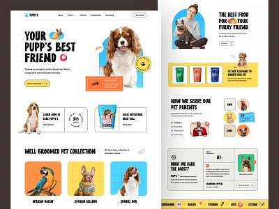 Pet Care Website adoption animal cat dog farzan landing page pet pet care pet doctor pet food pet health pet love pet website puppy rylic vet web design webpage website website design