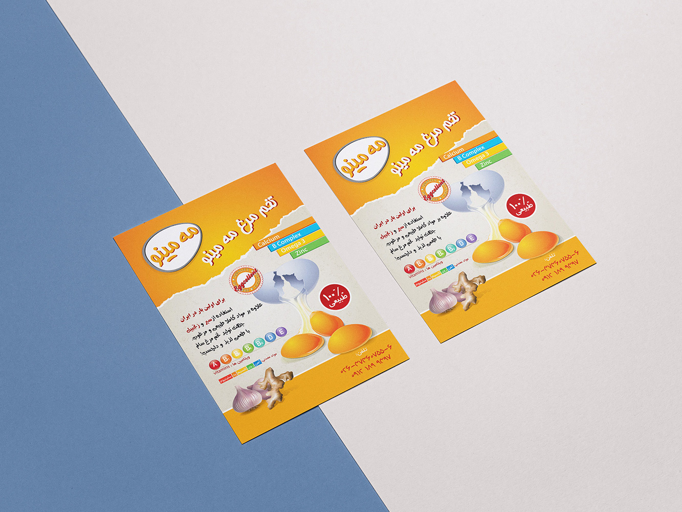Logo & Flyer Design | Egg Packaging Company brochure design egg ads design egg logo design flyer design freelance designer graphic design graphic designer طراحی تراکت
