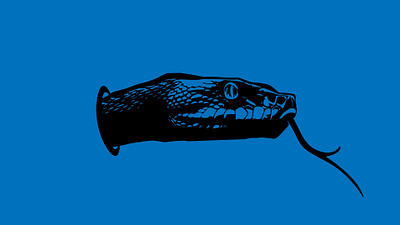 Animals' illustration 2d art animals creatures design fish graphic design icon illustration logo minimalist sea symbols trend trendy unique vector whale fish