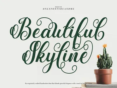 Beautyful Skyline branding display font graphic design handwritten lettering typography