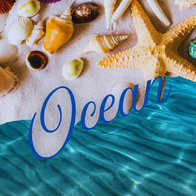 Ocean Motion Graphics Video motiongraphics