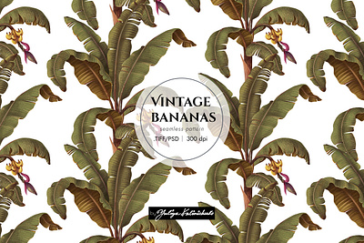 Seamless pattern "Vintage bananas" branding design illustration pattern seamless textile trees vintage