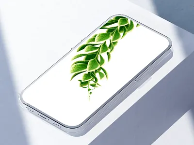 Fló – Splash Screen Animation 3d 3d animation 3d branding 3d motion animation app intro app onboarding app splash screen branding intro mobile mobile onboarding onboarding onboarding for app splash splash animation splash for app splash screen ui